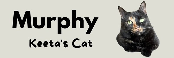 Keeta Cat Token Header