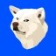 RUSSELL Icon