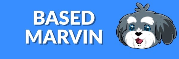 BASEDMARVIN Token Header