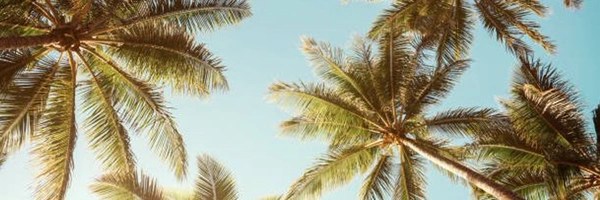 aneri Token Header