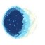 Blue Moon Icon