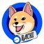 Bachi on Base Icon