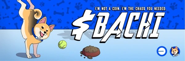 Bachi on Base Token Header