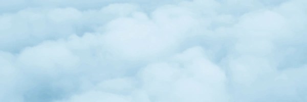 Ping Token Header