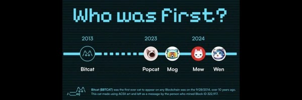 Bitcat Token Header