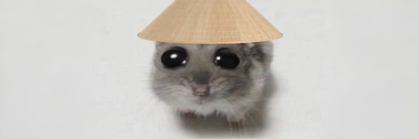 悲伤的仓鼠 Token Header