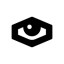Animus Icon