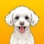 Korico Icon