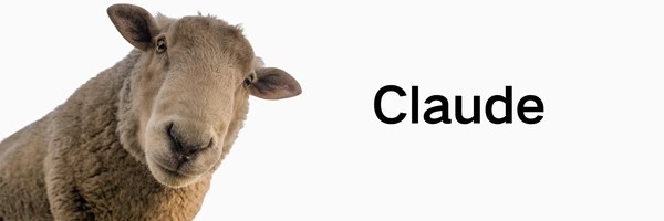 Claude Token Header