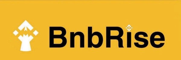 BnbRise Token Header