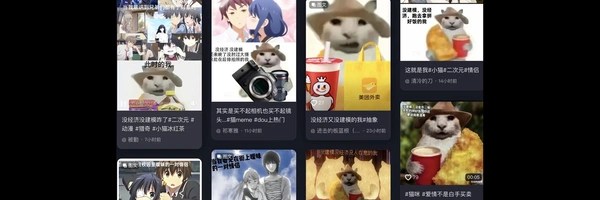 没经济没建模的小猫 Token Header