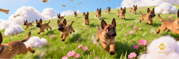 BWdog Token Header