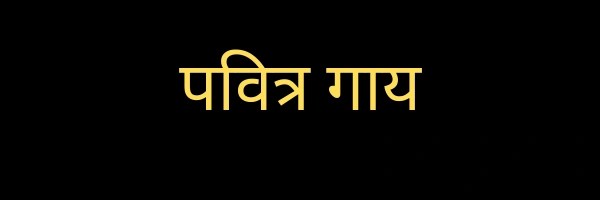 पवित्र गाय Token Header