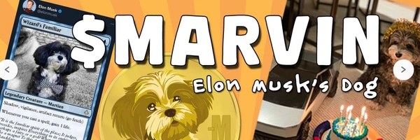 Elon's Dog Token Header