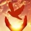 世界和平 Icon