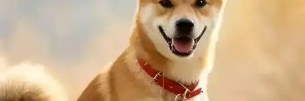 中华田园犬 Token Header