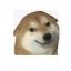 柴犬Wuli Icon