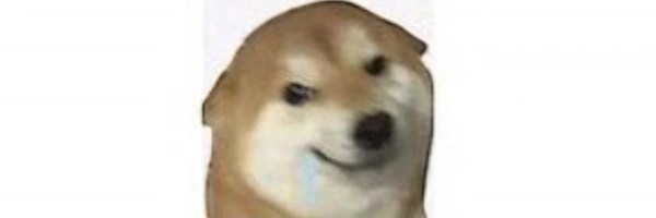 柴犬Wuli Token Header