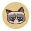 Grumpy Cat Icon