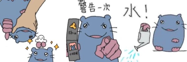 砖头鼠 Token Header