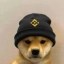 dogwifhat Icon