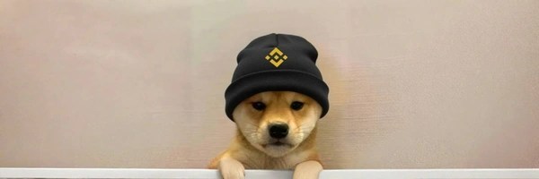dogwifhat Token Header