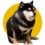 Totakeke Icon