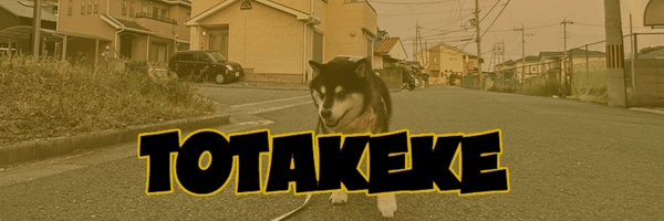 Totakeke Token Header