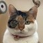 Totakeke's sister Icon