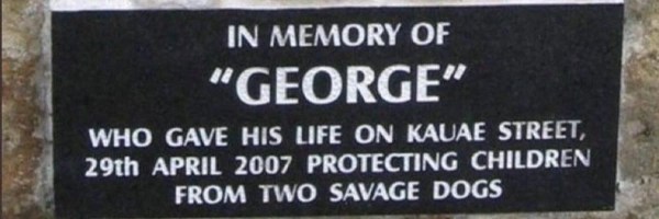GEORGE Token Header