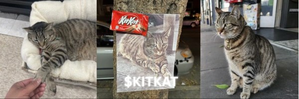 Justice For KitKat Token Header