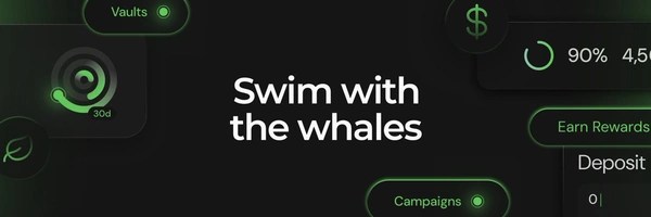Turtle Token Header