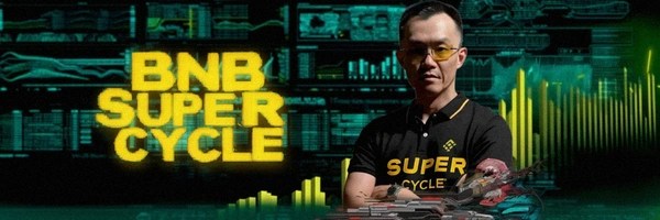 BNB SUPER CYCLE Token Header