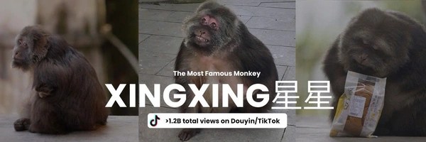 xing xing Token Header
