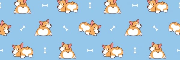 CorgiCoin Token Header