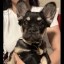 The Binance Dog Icon