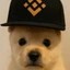 PUP Icon