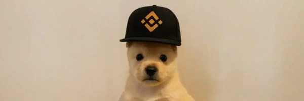 PUP Token Header