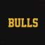 BULLS Icon
