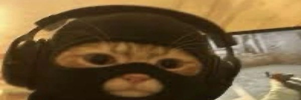 一只玩CS游戏的猫 Token Header