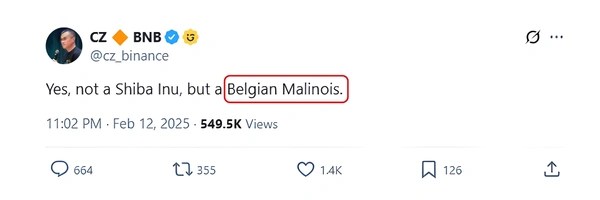 Belgian Malinois Token Header