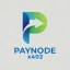 Paynode Icon