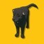 binance dog Icon