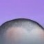 聪明绝顶 Icon