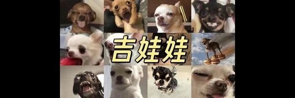 吉娃娃 Token Header