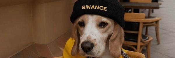 Cozy Dog Token Header