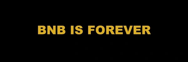BNB IS FOREVER Token Header