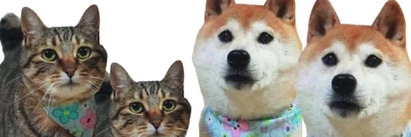 Ginnan Token Header