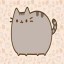 Pusheen Icon