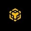 BNB holders Icon
